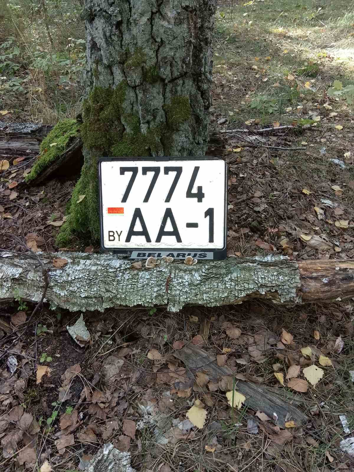 7774AA1